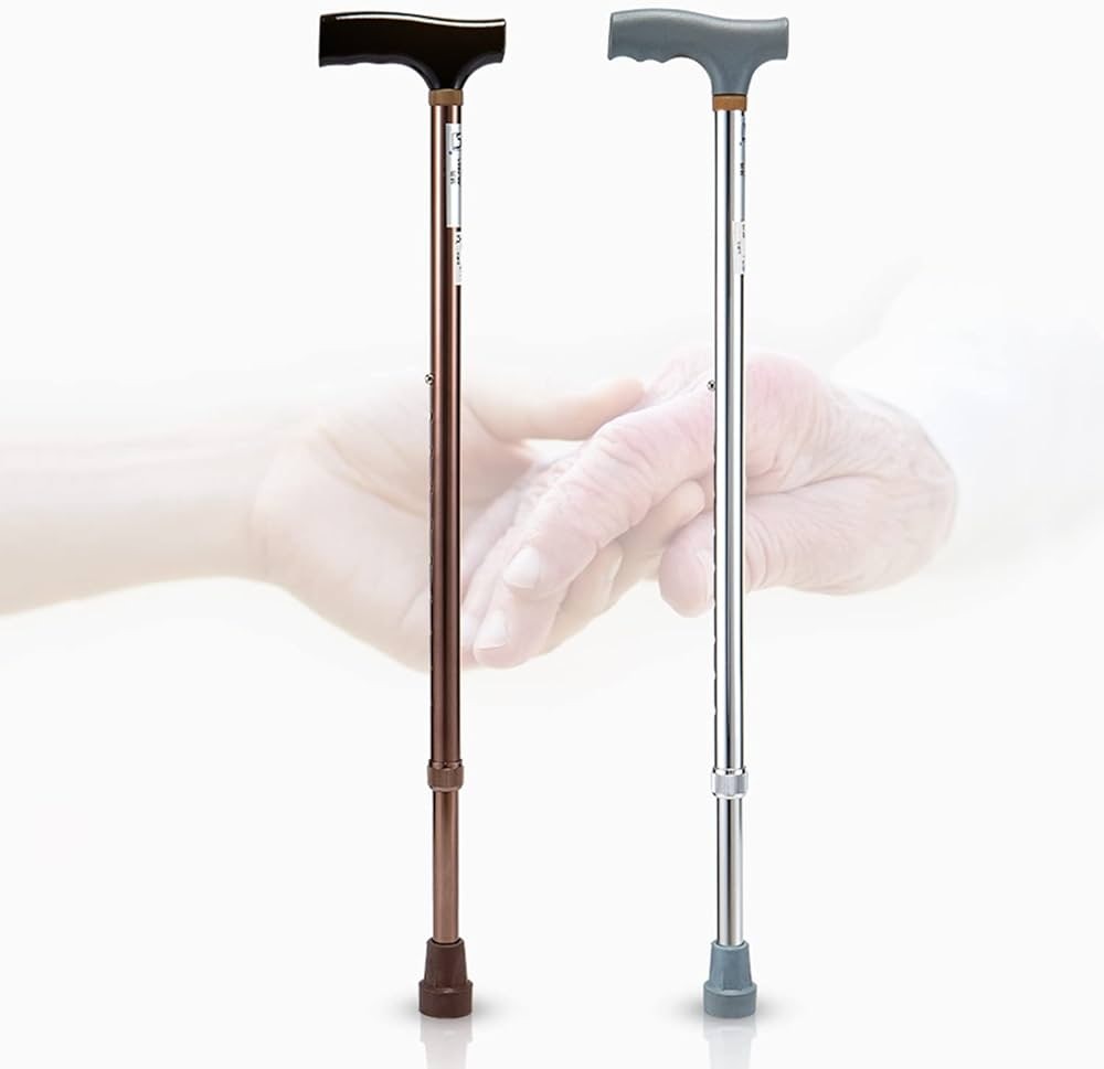 Walking Stick-image